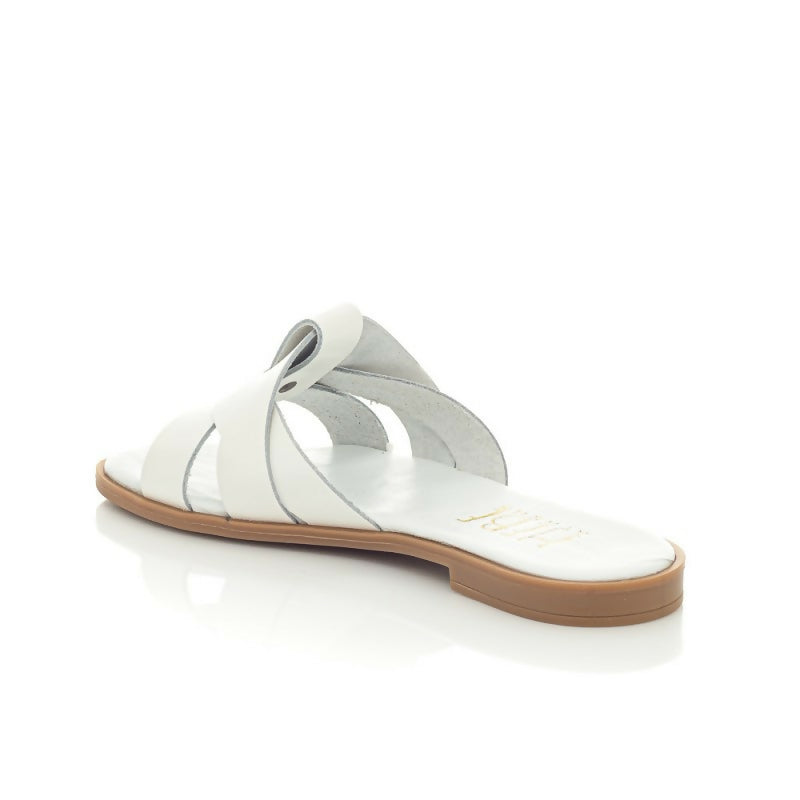 276-WHITE_1-800x800