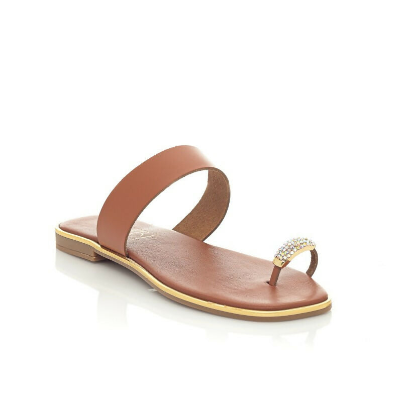 316-CAMEL-800x800