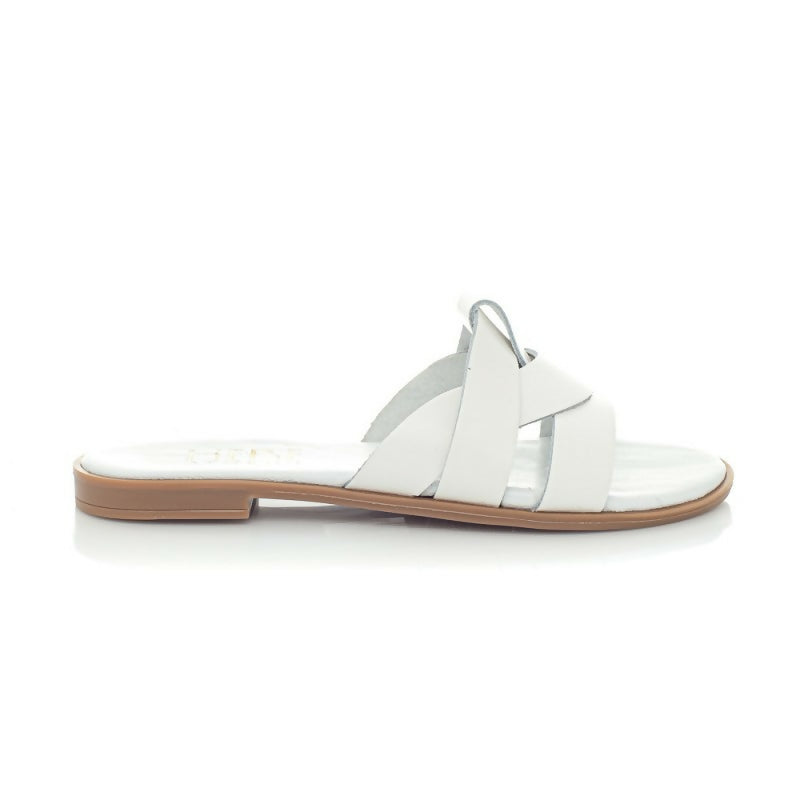 276-WHITE_2-800x800